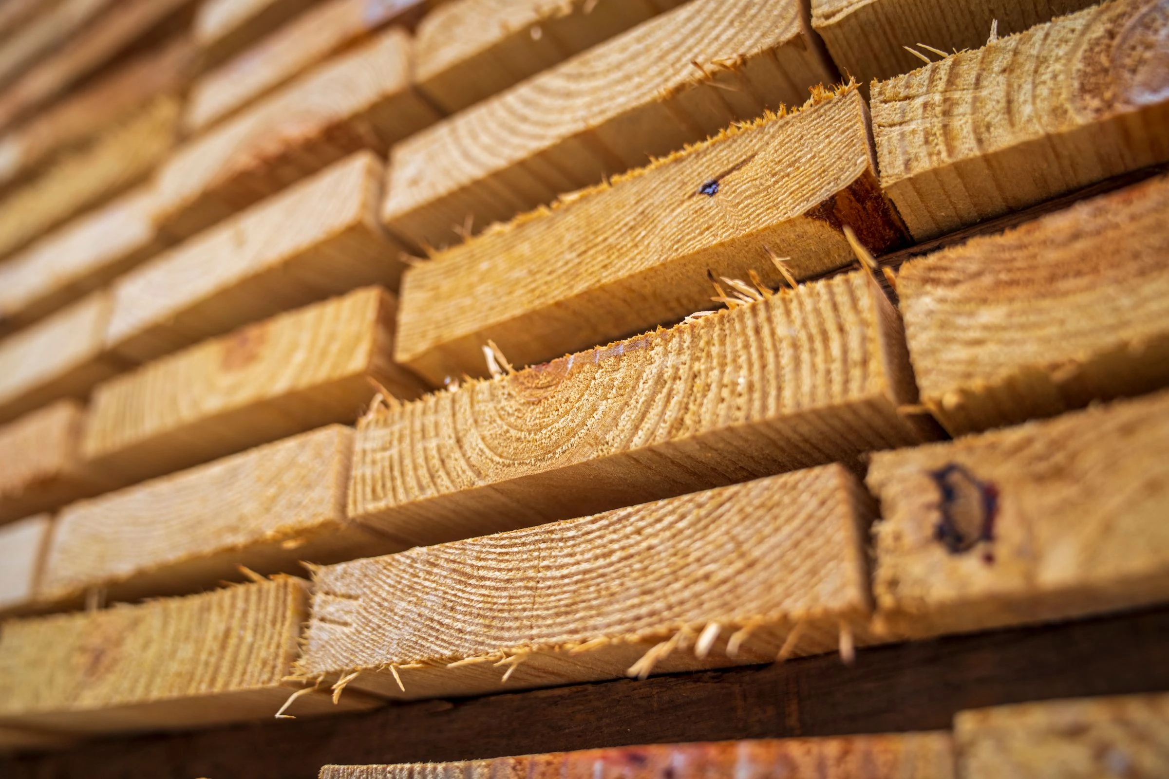Timber construction interior