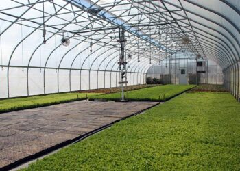 Greenhouse-The-Ultimate-Construction-Blog-the-construction-daily