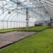 Greenhouse-The-Ultimate-Construction-Blog-the-construction-daily